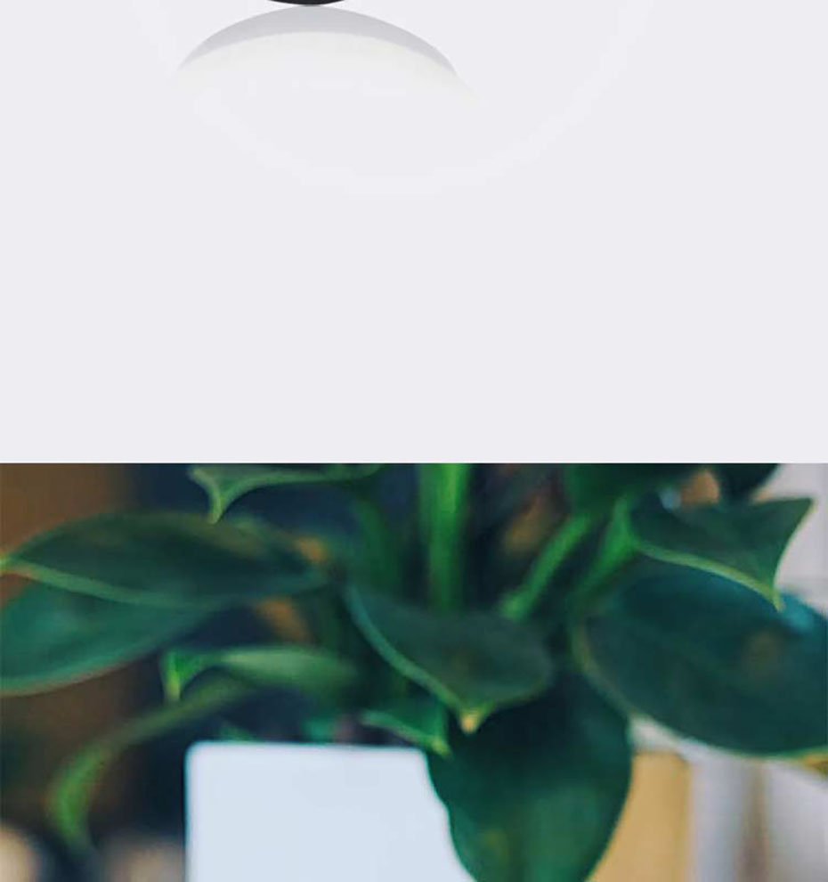 木質(zhì)藍(lán)牙音箱 木質(zhì)藍(lán)牙音箱