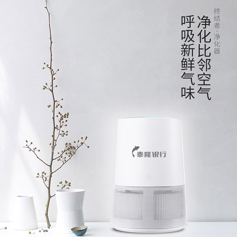 簡(jiǎn)約凈化器 簡(jiǎn)約凈化器