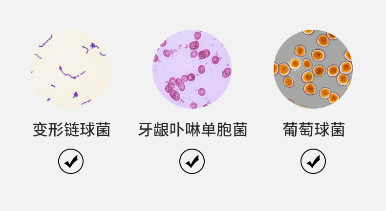 智能牙刷殺菌盒