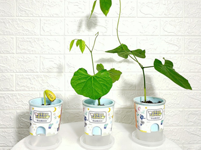 2021年盤點(diǎn)那些最有創(chuàng)意的六一兒童節(jié)禮物。