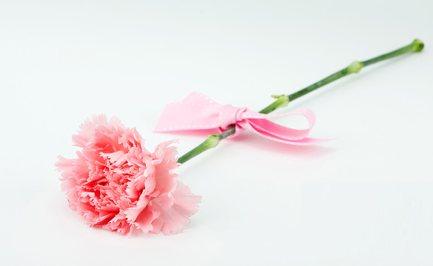 中禮集-教師節(jié)禮品